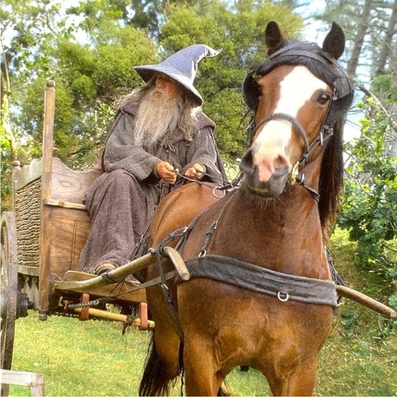 Y2K The Lord of The Rings: The Fellowship of the Ring Visual Collector’s Book - Picture 8 of 13